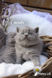 Untitled23_20240401182319