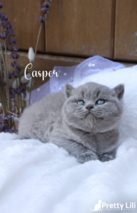 Untitled30_20240401174523