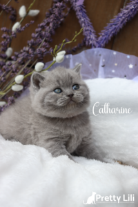 Untitled31_20240401181810