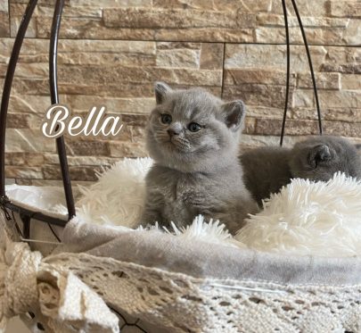 16DE866A-D77D-4719-AF52-C771C8E1BB04