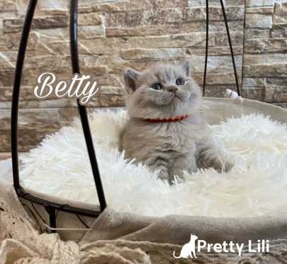 6AAC7616-26FB-4EE8-86C7-E5197C1F340E