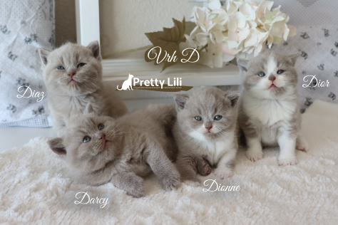 7608F116-E050-489B-ACE4-6B1F0BC6F33F